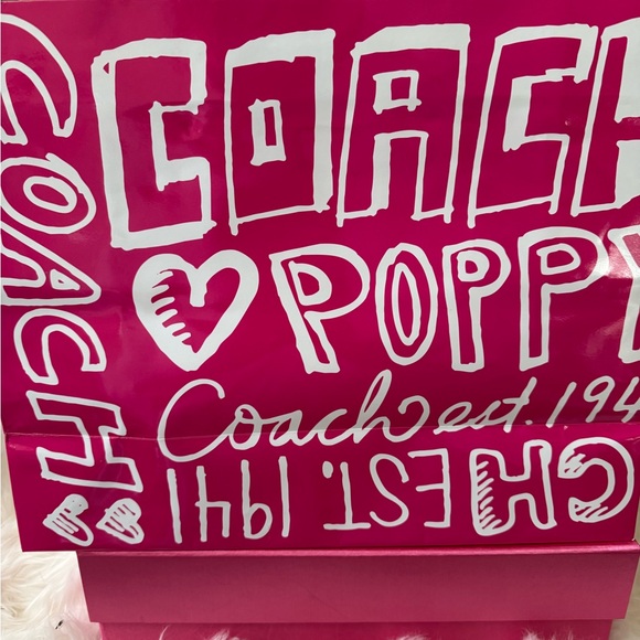 Y2K Coach Multicolored Pebbled Leather. Stylish Two-Tone Leather bag with chains - Picture 12 of 16